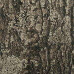 2516246486 | Covers and Camo