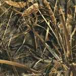| Covers and Camo