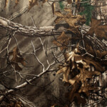 | Covers and Camo