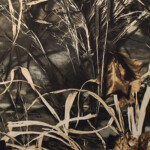 | Covers and Camo