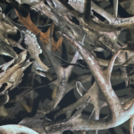 2415393893 | Covers and Camo