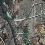 411883081 | Covers and Camo